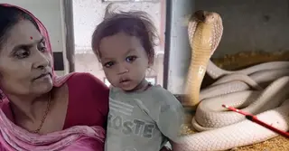 এক বছর বয়সী বাচ্চার কামড়ে সাপের মৃত্যু